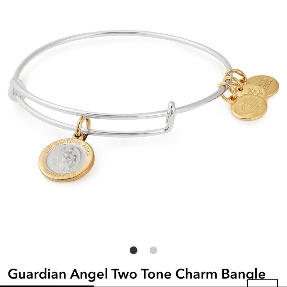 Alex and Ani Guardian Angel Two Tone Charm Bangle